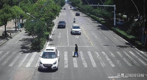 蚌埠爆料交警事件最新